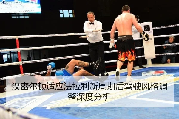 han-mi-er-dun-shi-ying-fa-la-li-xin-zhou-qi-hou-jia-shi-feng-ge-tiao-zheng-shen-du-fen-xi-2-381.jpg
