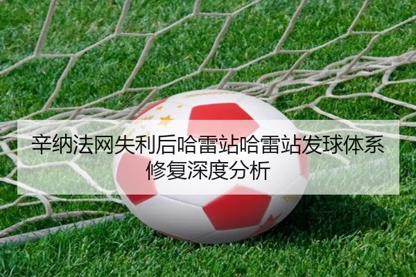 辛纳法网失利后哈雷站哈雷站发球体系修复深度分析